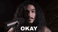 Okay Anthony Vincent GIF - Okay Anthony Vincent Ten Second Songs GIFs
