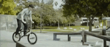 Grind Sliding GIF - Grind Sliding Bike GIFs