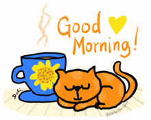 Good Morning Good Morning Cat GIF