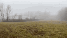 Fog Foggy GIF - Fog Foggy Field GIFs