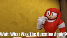 Sonic Boom Knuckles The Echidna GIF