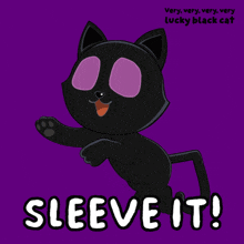 a black cat with glowing eyes says sleeve it