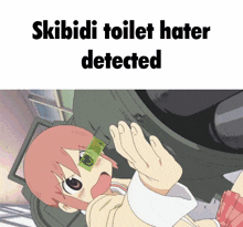 Skibibi Hater Skibibi Toilet Hater GIF