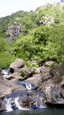 Waterfall Nature GIF - Waterfall Nature Trees GIFs