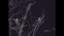 a man is holding a gun in the dark