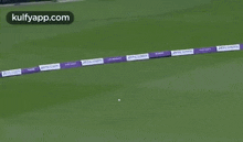 When We Play Olympics In Cricket.Gif GIF - When We Play Olympics In Cricket Gif Cricket GIFs