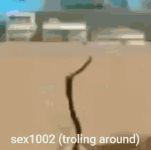 Sex1002 GIF - Sex1002 GIFs
