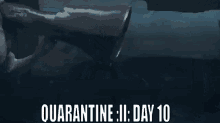 Quarantine Day10 GIF