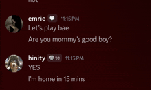 a screenshot of a conversation between emrie and hinsity