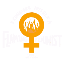 feminism flaming
