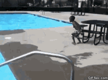 Diving GIF - Dive Nope GIFs