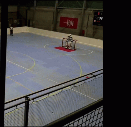 Roller Hockey Fight GIF - Roller Hockey Fight - Discover & Share GIFs