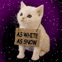 As White As Snow Very Pale GIF - As White As Snow Very Pale Pure White GIFs