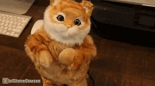Dancing Cat GIF - Dancing Cat Toy GIFs