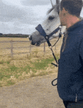 Horse White Horse GIF - Horse White Horse Horse Dragging Man GIFs