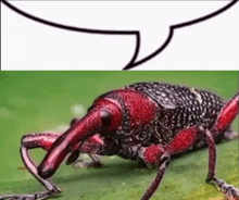 Bug Reaction GIF