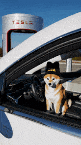 a dog wearing a hat that says dea sits in a tesla car