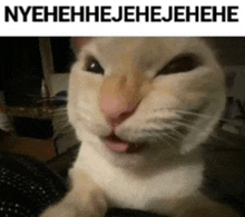 a close up of a cat making a funny face with the words nyehehhejehejehehe above it