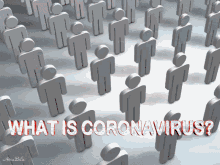 coronavirus popular what is coronavirus contagious