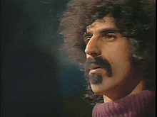 Frankzappa Frank Zappa GIF - Frankzappa Frank Zappa Zappa GIFs