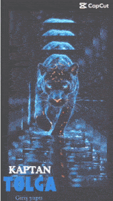 a picture of a black panther with blue eyes and the caption kaptan tolga