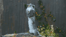 Meow Robot Head GIF - Meow Robot Head Silly GIFs