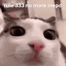 Rule 333 Inepd GIF - Rule 333 Rule 333 GIFs
