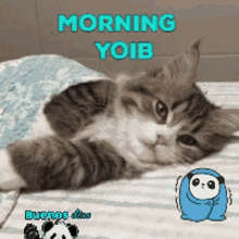 Morning Yoib Morning GIF - Morning Yoib Morning Yoib GIFs
