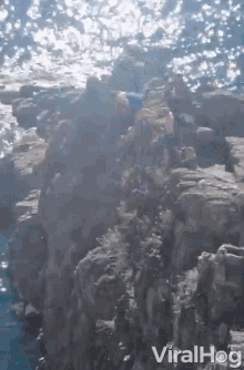 Diving Divers GIF - Diving Divers Falling GIFs
