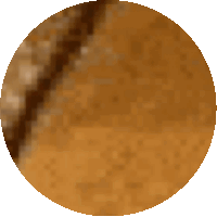 a brown circle with a white background and a few dots on it