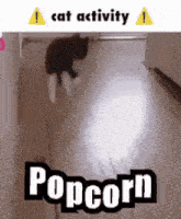 a cat is playing with popcorn in a hallway ..