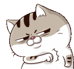 Ami Fat Cat Got You Always Sticker - Ami Fat Cat Got You Always Bro Stickers