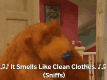 Bear In The Big Blue House It Smells Like Clean Clothes GIF - Bear In The Big Blue House It Smells Like Clean Clothes Laundry GIFs