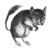 Skillet 12 Oz Mouse Sticker