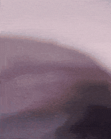 a close up of a purple and pink colored background