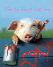 The Pig Doesnt Want You To Eat Him GIF - The Pig Doesnt Want You To Eat Him GIFs