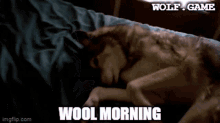 Wool Morning Gm GIF - Wool Morning Gm Wolf Game GIFs