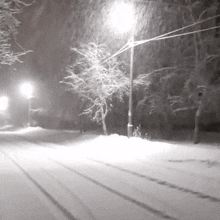 a black and white photo of a snowy street with street lights