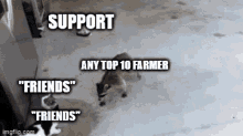 a raccoon is standing on a concrete floor with the words support any top 10 farmer friends and friends written on it .
