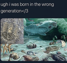 Born In The Wrong Generation GIF - Born In The Wrong Generation GIFs