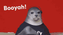 booyah seal sea lion