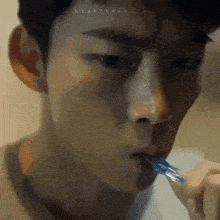 a close up of a person brushing their teeth with lisacefat.com written on the bottom right