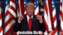 Invisible Dicks Donald Trump GIF - Invisible Dicks Donald Trump Flags GIFs