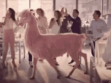 Llama Dance GIF - Llama Dance GIFs