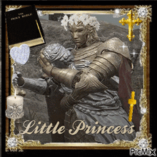 a picture of a knight with the words little princess written on it