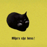 Best Bring Bang Bang Born GIF - Best Bring Bang Bang Born Whos The Best GIFs