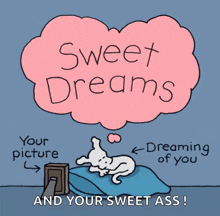Good Night Sweet Dreams GIF - Good Night Sweet Dreams Your Picture GIFs