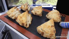 a bunch of scones are sitting on a mat that says made in animonica