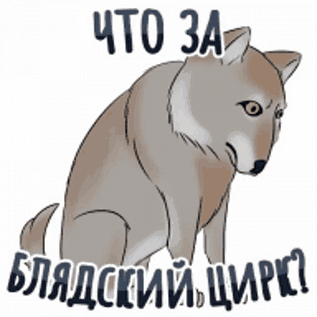 Перехоплені розмови російських військових — Енциклопедія громадянина