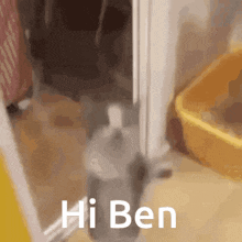 Hi Ben Happy Cat GIF - Hi Ben Happy Cat Dancing Cat GIFs